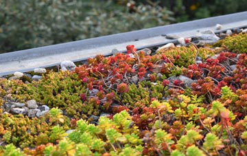 the cost of Satley green roof installation